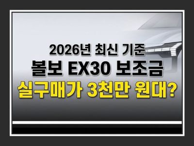 ex30 보조금