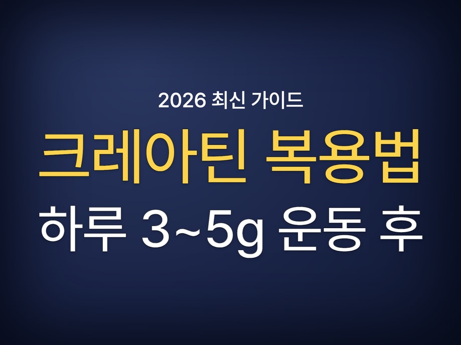크레아틴 복용법