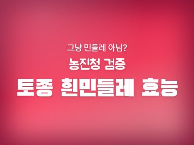 흰민들레 효능