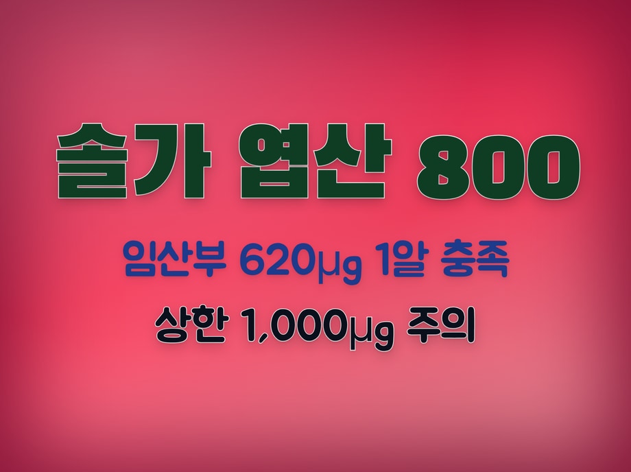 솔가 엽산 800