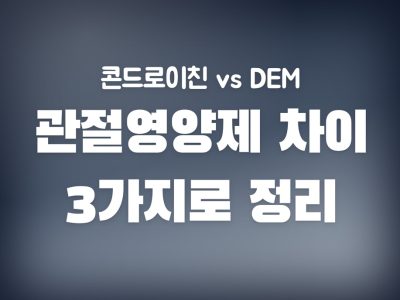 DEM 관절영양제