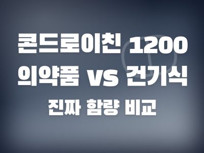맥스콘드로이친