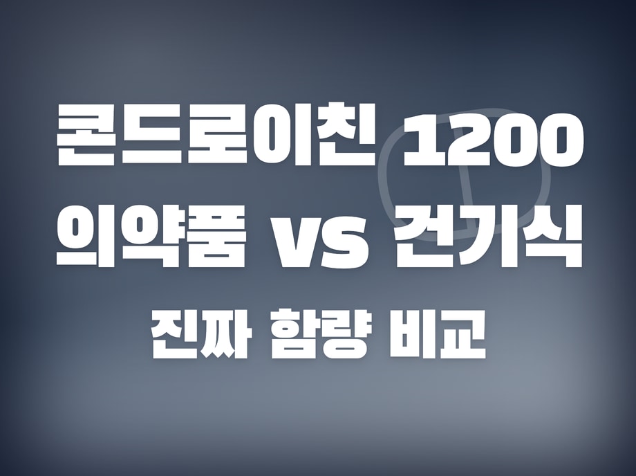 맥스콘드로이친