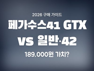 페가수스41