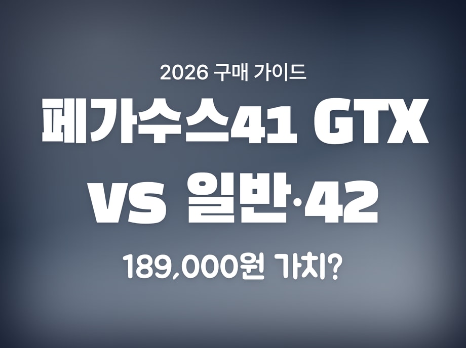 페가수스41