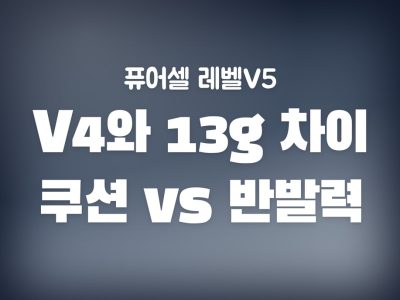 퓨어셀 레벨V5