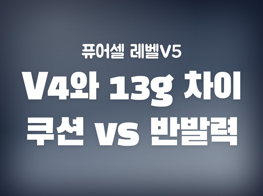 퓨어셀 레벨V5