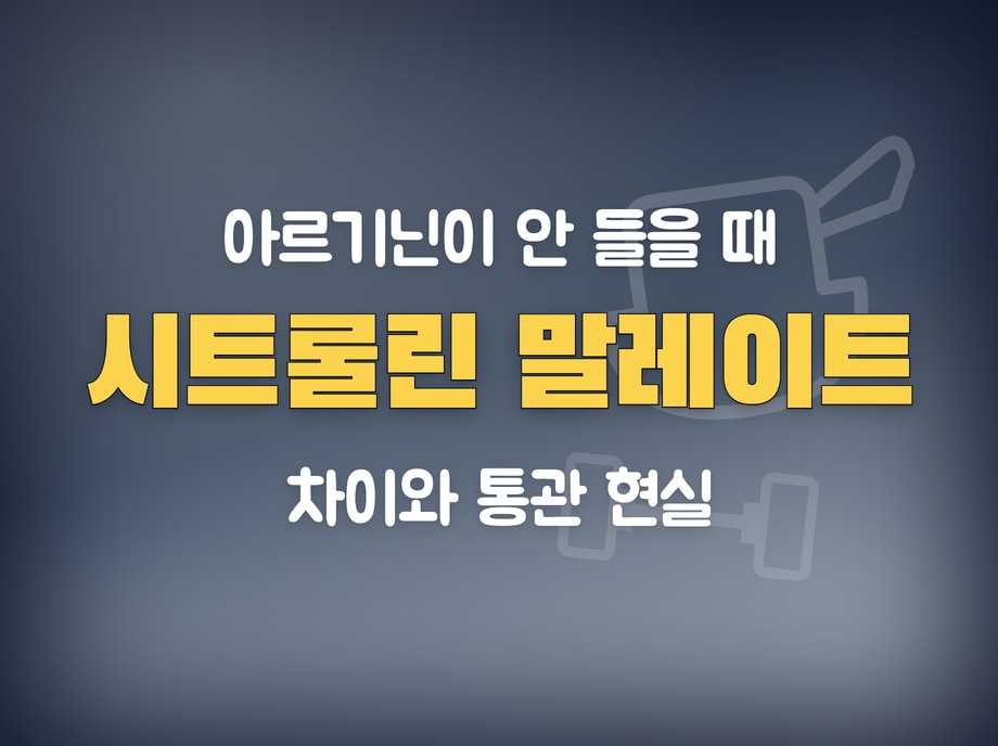 시트룰린 말레이트
