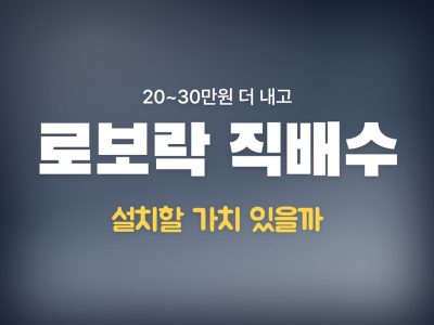 로보락 직배수 단점