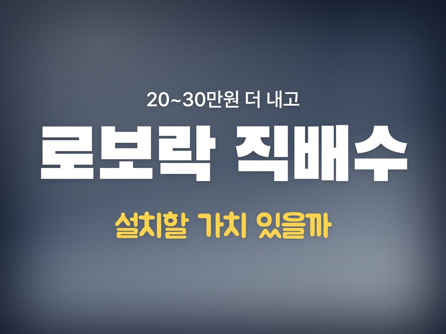 로보락 직배수 단점