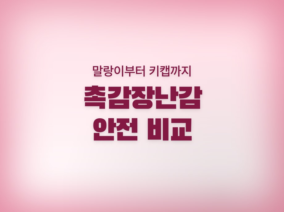 촉감장난감