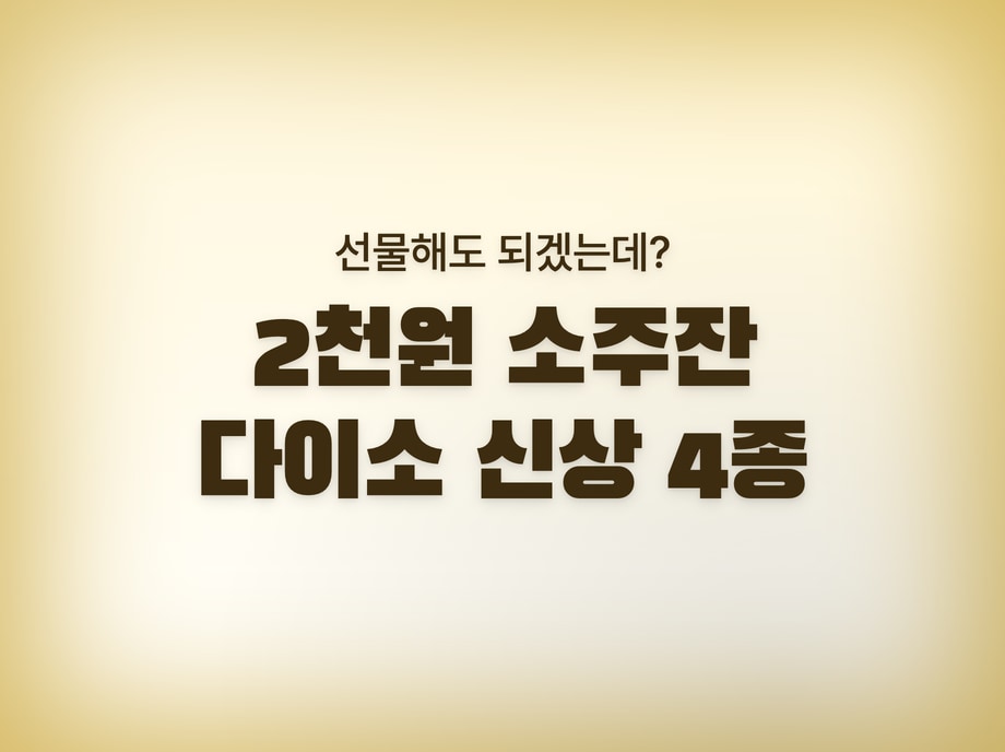 다이소 신상품